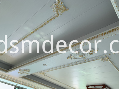 Panel de moldeo Panel Moulding